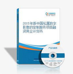 2015年中國私屬數(shù)字影像定制服務(wù)融資商業(yè)計(jì)劃書